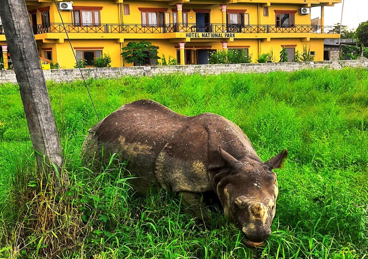 Hotel National Park Sauraha- Homely Stay And Peaceful Location With Jungle Safari Arrangements Экстерьер фото