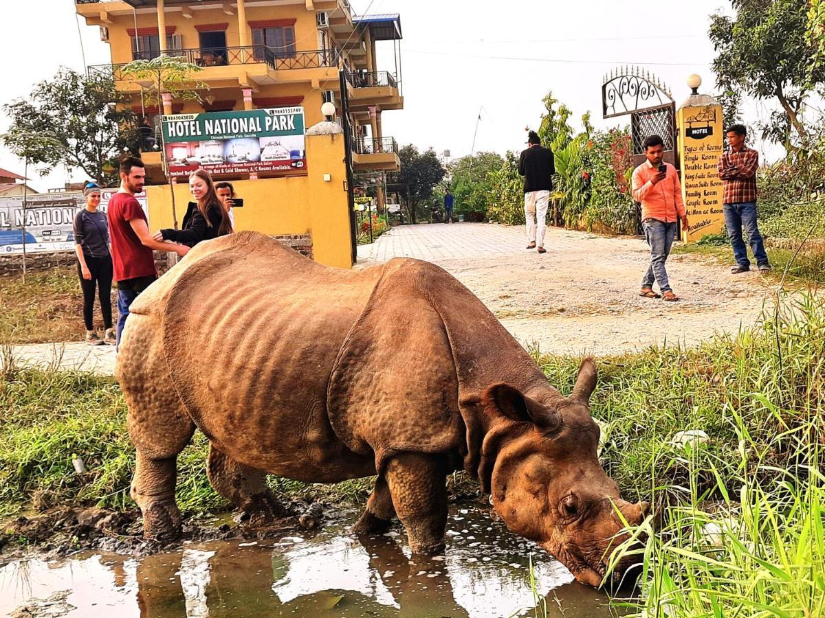 Hotel National Park Sauraha- Homely Stay And Peaceful Location With Jungle Safari Arrangements Экстерьер фото