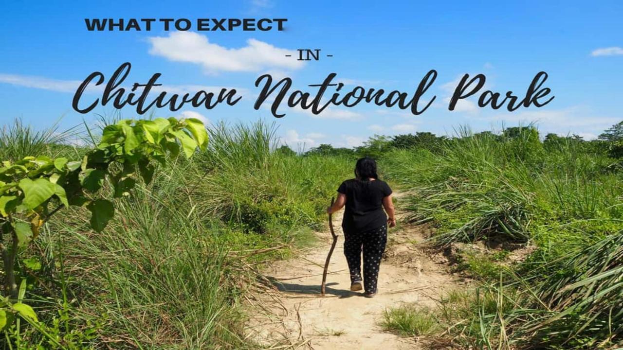 Hotel National Park Sauraha- Homely Stay And Peaceful Location With Jungle Safari Arrangements Экстерьер фото